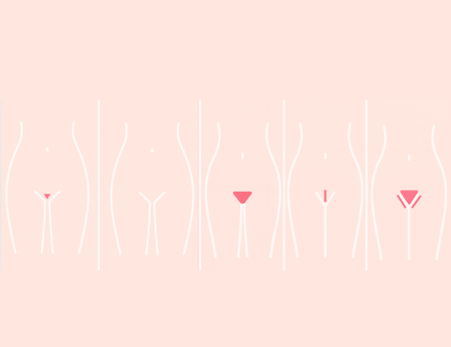 Vello Púbico Femenino: Guía Completa de Depilación, Estilos y Cuidados de la Piel